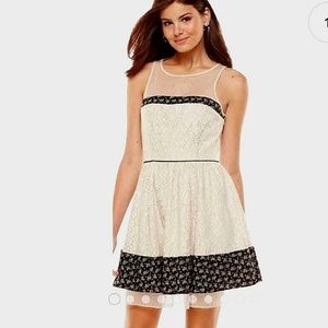 LC Lauren Conrad Lace Floral Sleeveless Fit and Flare Dress